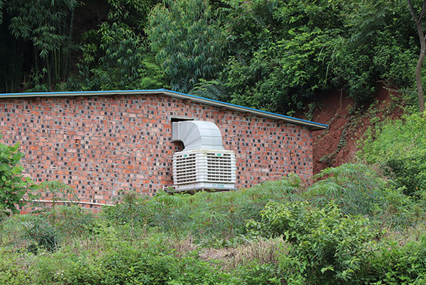 養(yǎng)豬場冷風機廠家