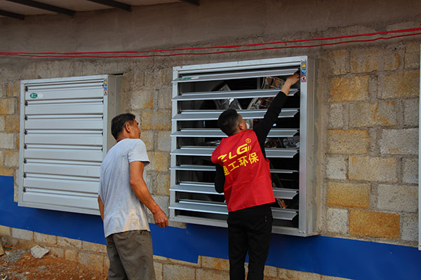 養(yǎng)豬場降溫水簾設備案例