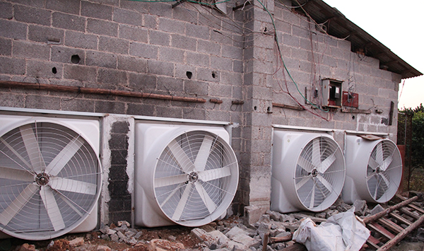 養(yǎng)殖場玻璃鋼負(fù)壓風(fēng)機(jī)