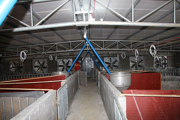 i(chng)O(sh)ؓ(f)L(fng)C(j)