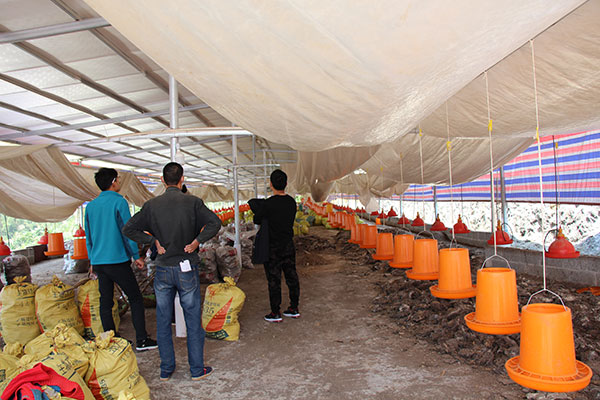 ZLGӑՓB(yng)u(chng)ؓ(f)L(fng)C(j)ˮO(sh)Ӌ(j)