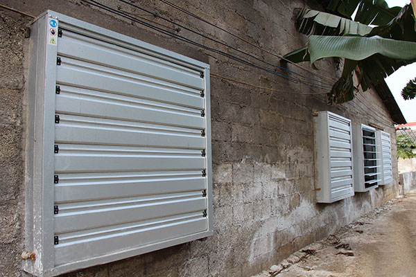 B(yng)ֳ(chng)ͨL(fng)O(sh)