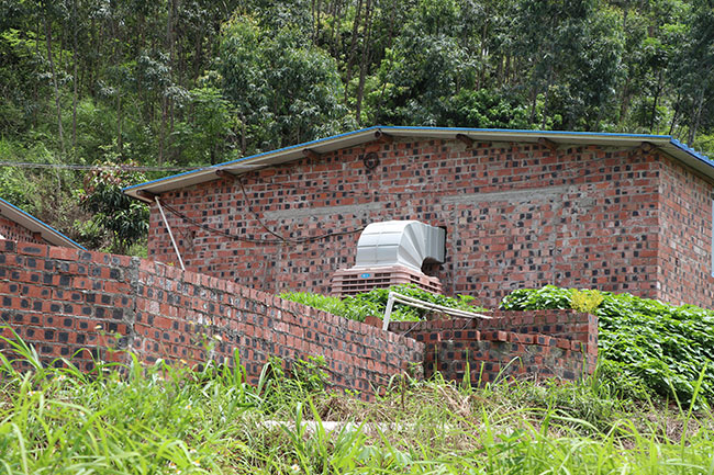 LCrʹÏVmB(yng)ֳʹ